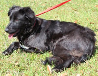 Ellie 35345 - Photo 3