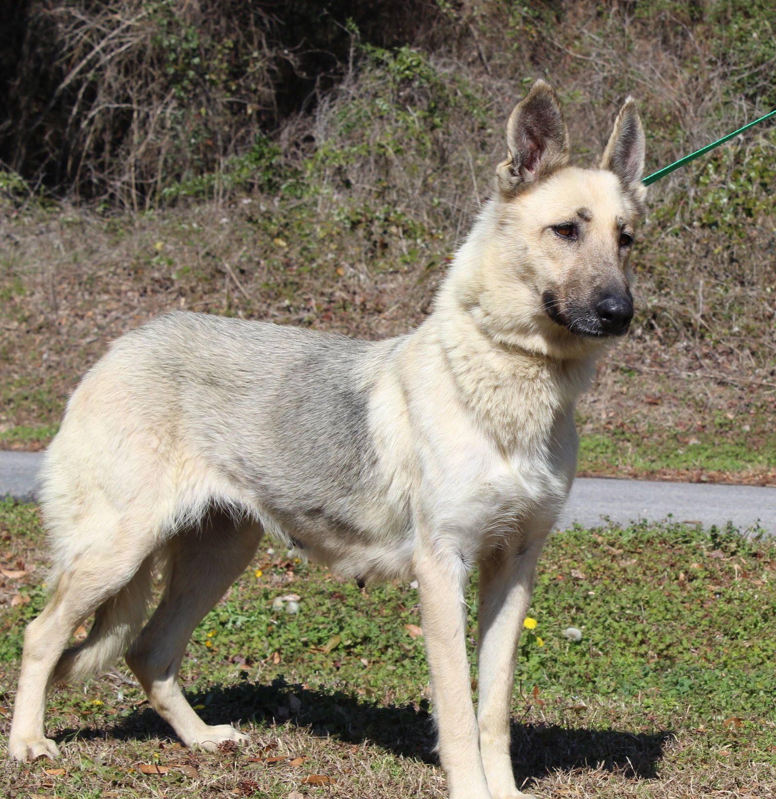 Layla 43140 - Photo 3