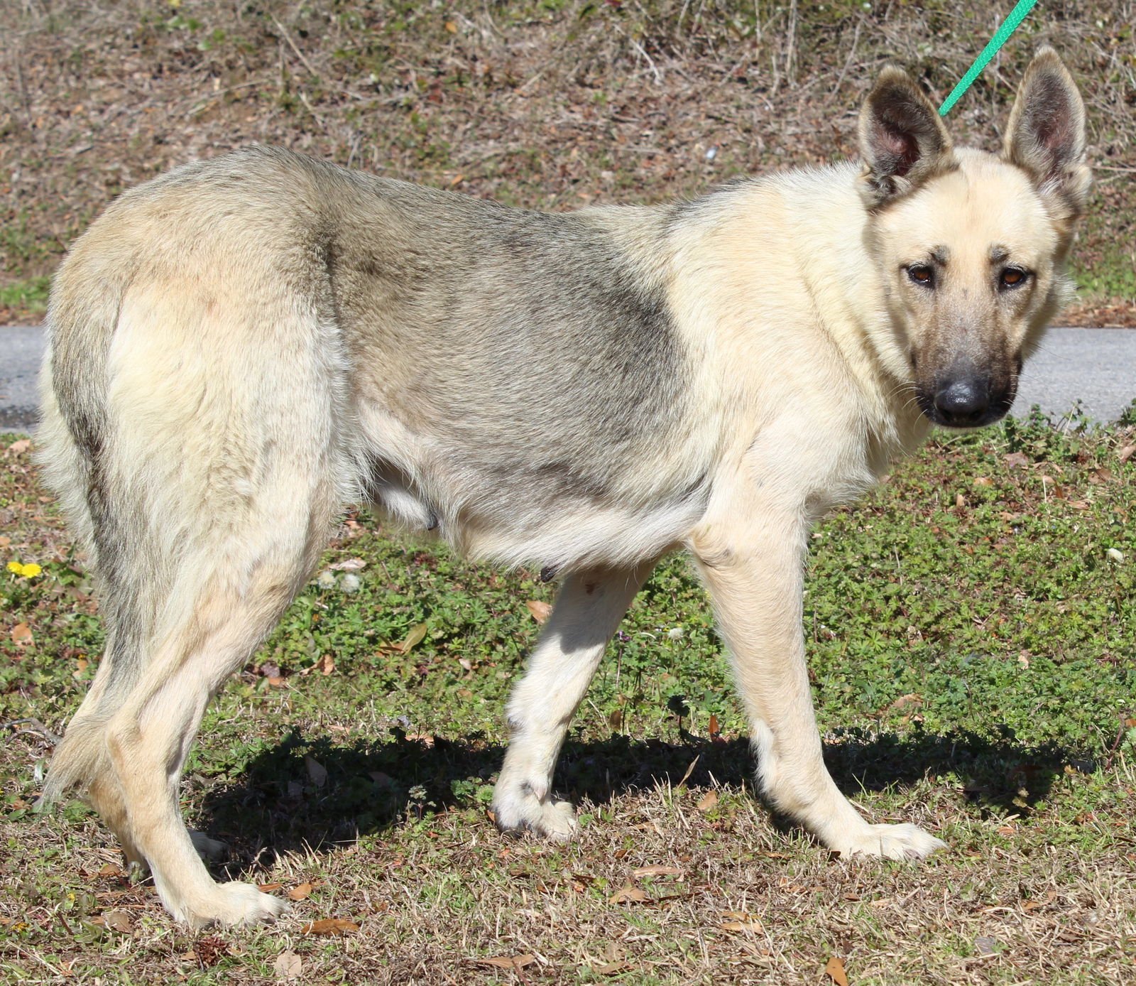 Layla 43140 - Photo 4