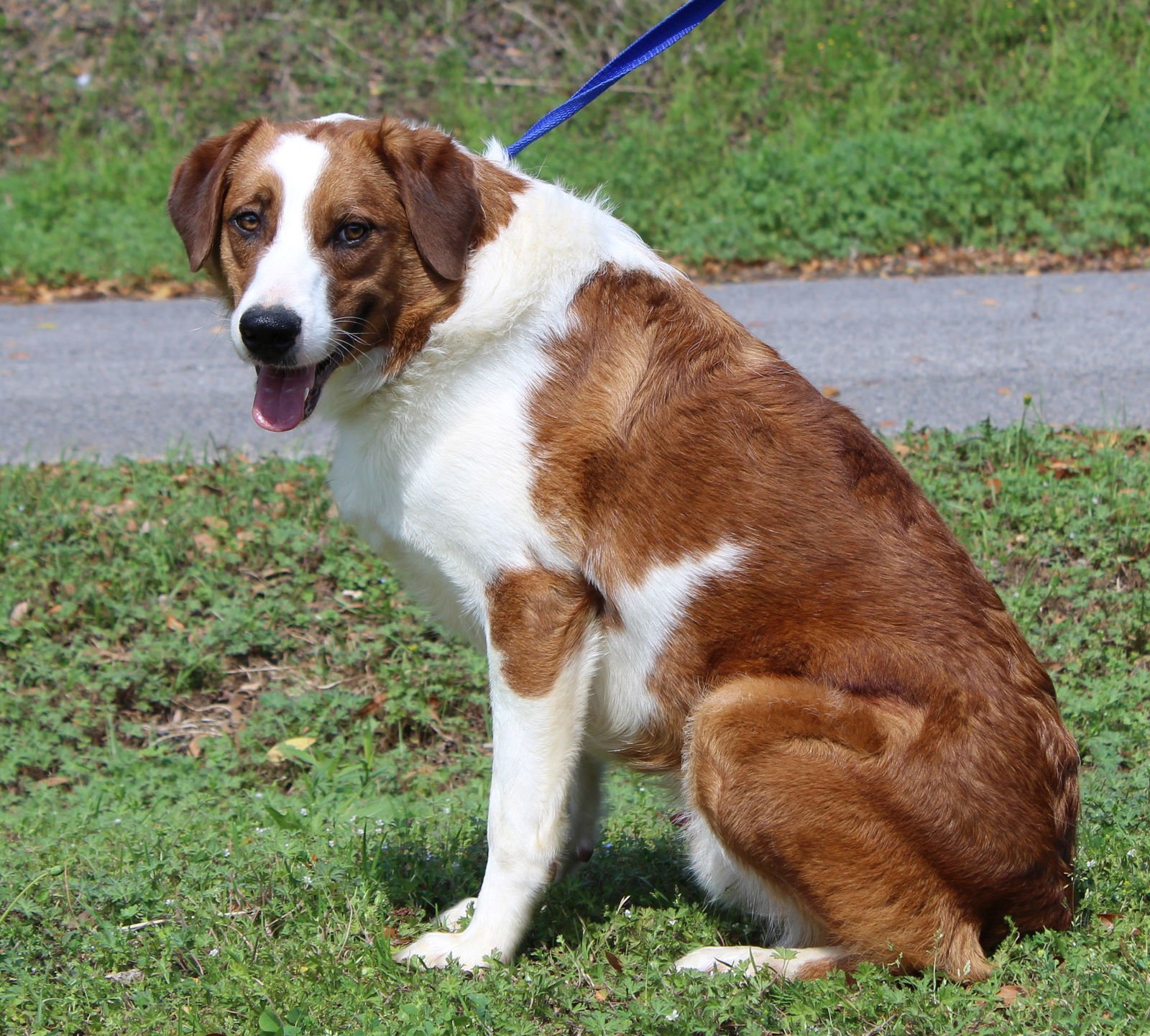 Beau 43276 - Photo 4