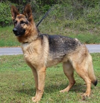 Cheyanne 43046 - Photo 3