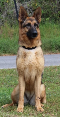 Cheyanne 43046 - Photo 4