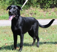 Gator 44143 - Photo 1