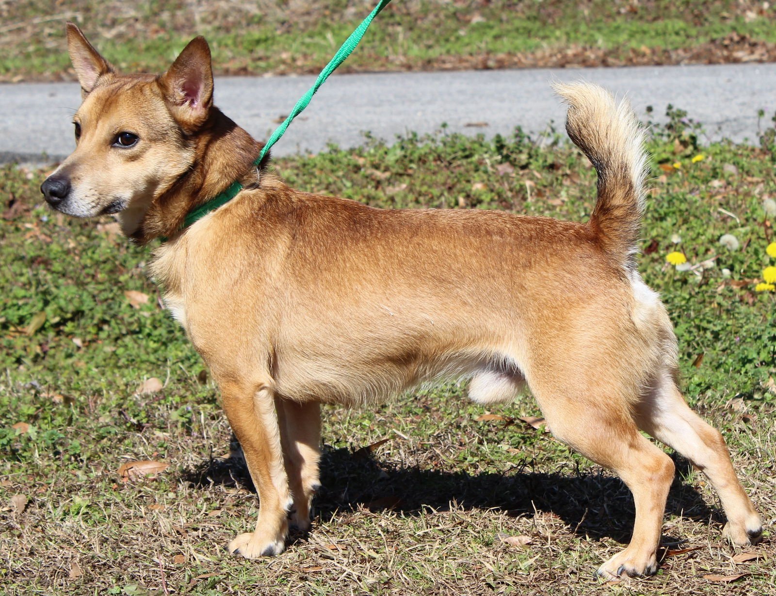 Greg 43120 - Photo 3