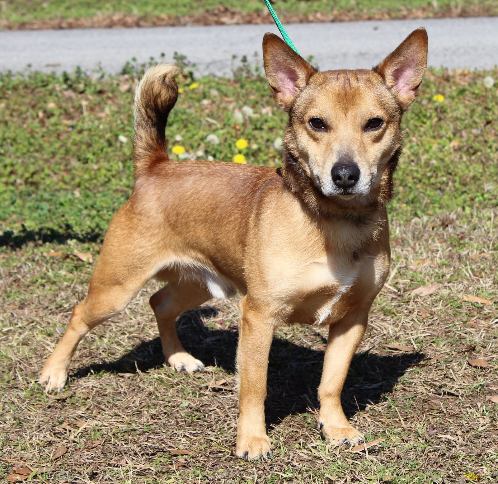 Greg 43120 - Photo 4