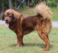 Cleo 43379 - Photo 4