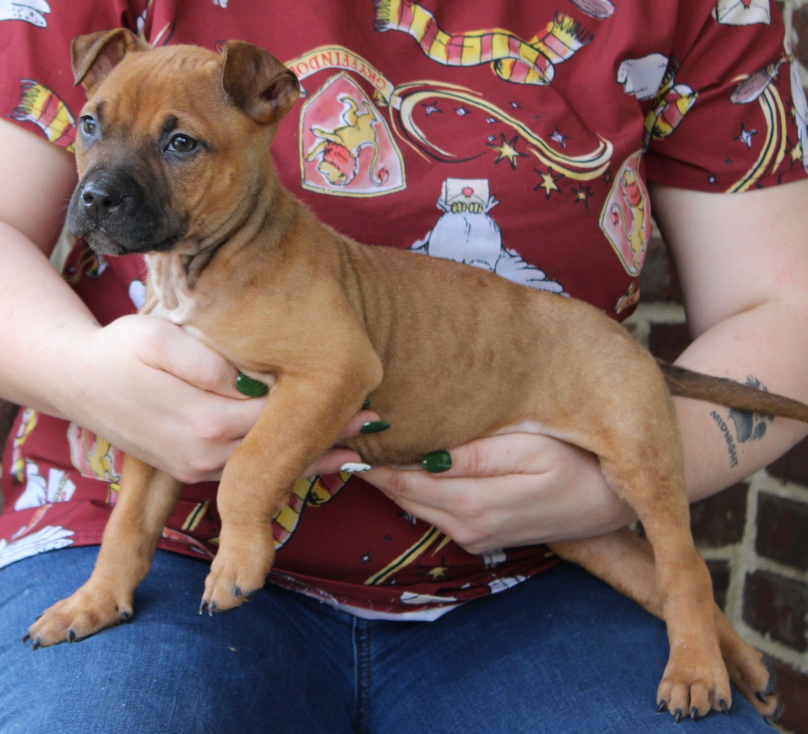 Brodie 43268 - Photo 3