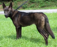 Shepie 43793 - Photo 3