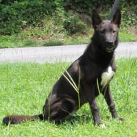 Shepie 43793 - Photo 2