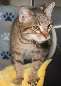 Mia - 43410 - Photo 1