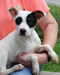 Simba 43495 - Photo 2