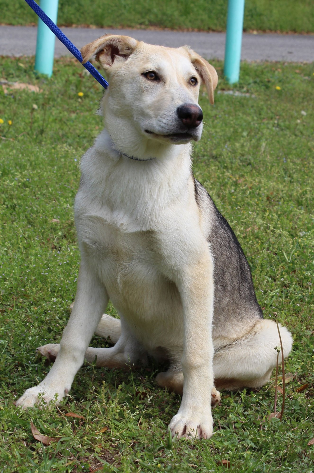 Millie 43304 - Photo 4