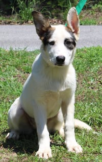 Luna 43546 - Photo 1