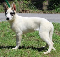Luna 43546 - Photo 2