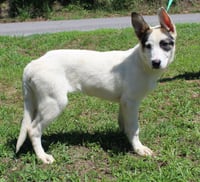 Luna 43546 - Photo 3
