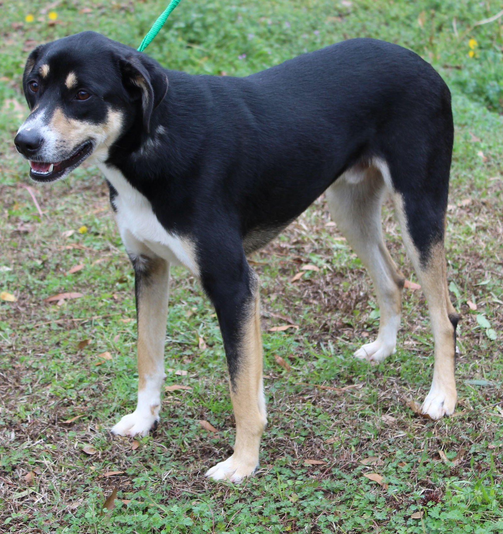 Kendi 43034 - Photo 4