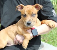 Munch 43355 - Photo 1