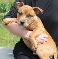 Munch 43355 - Photo 2