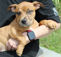 Munch 43355 - Photo 3