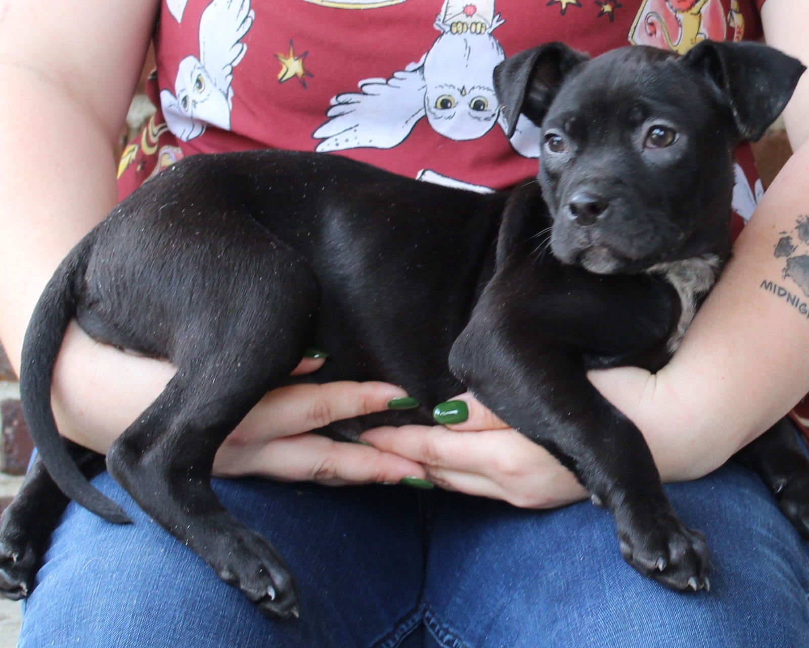 Barley 43332 - Photo 3