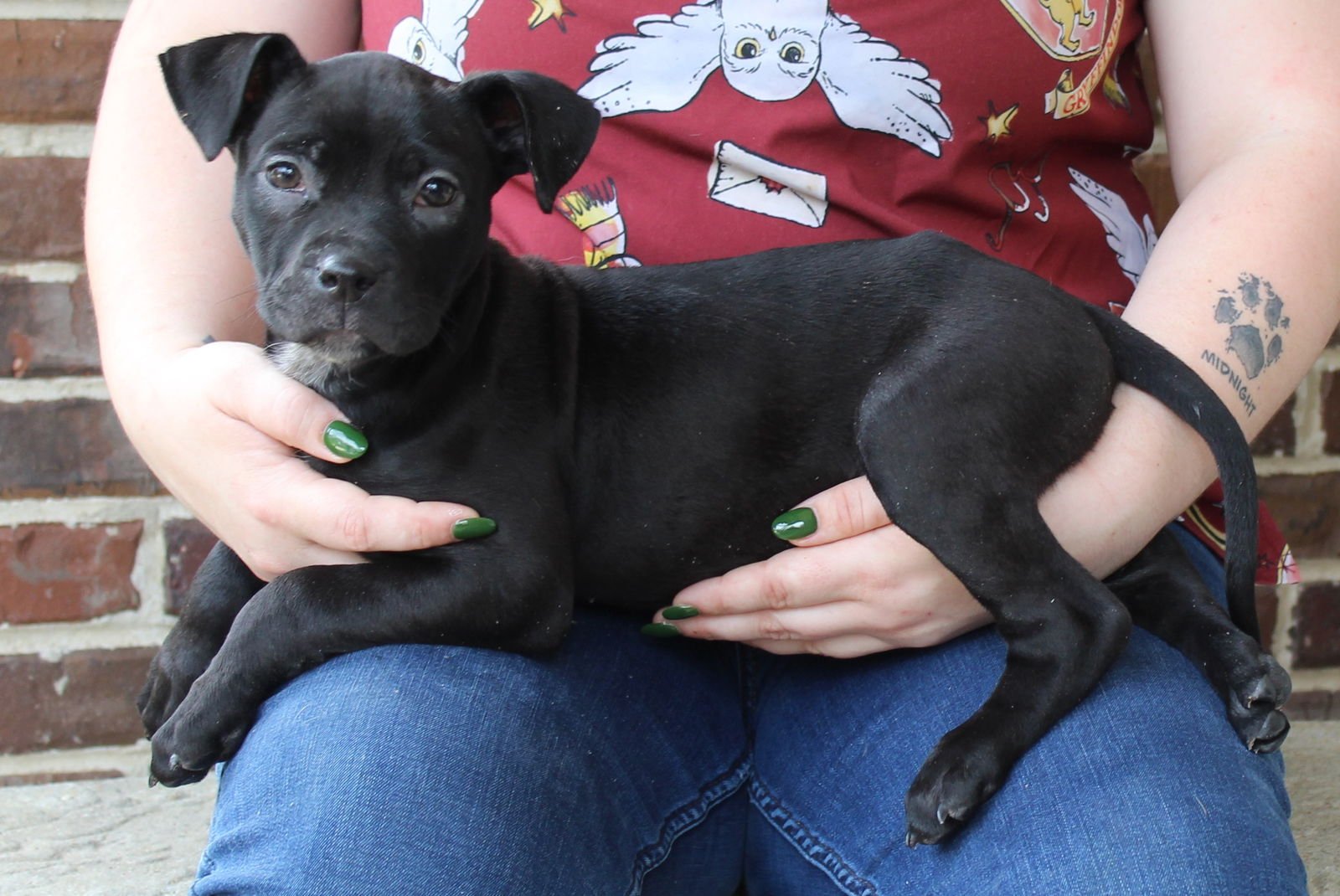 Barley 43332 - Photo 4