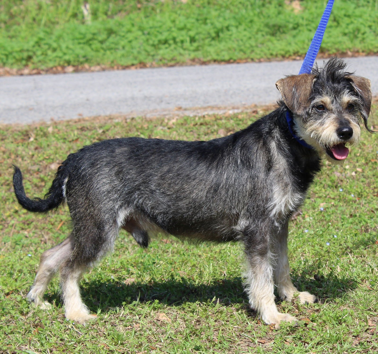 WD (Winn Dixie) 43176 - Photo 4