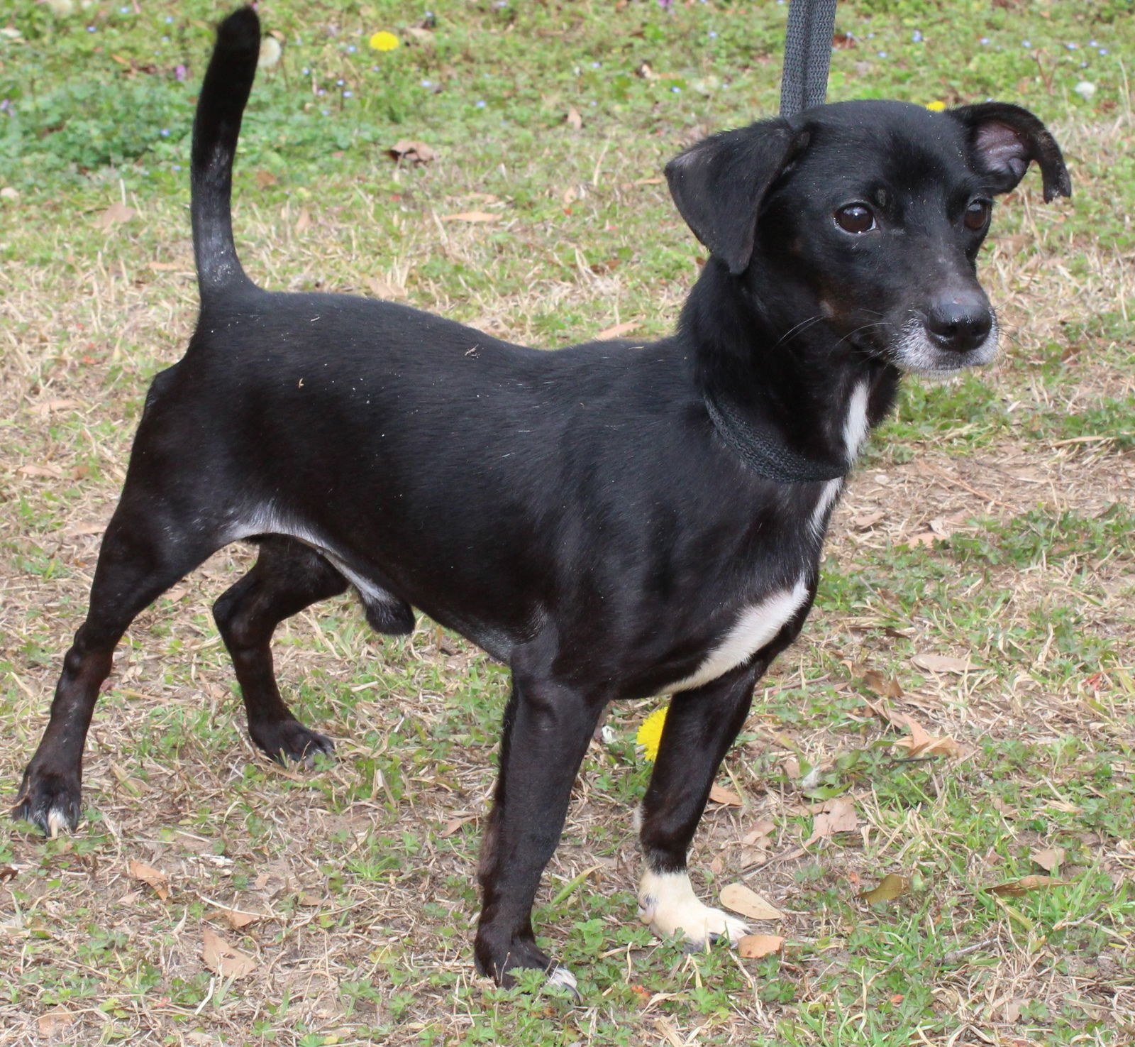 Isaac 43111 - Photo 3