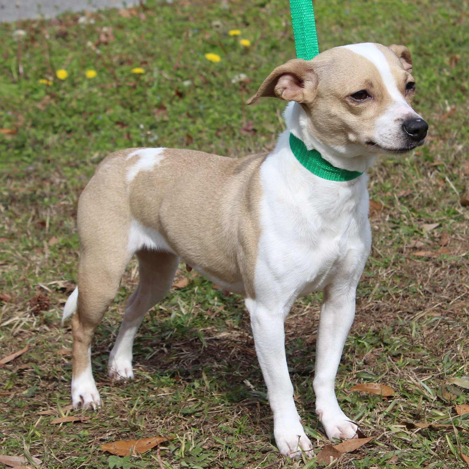 Tiny 43014 - Photo 3