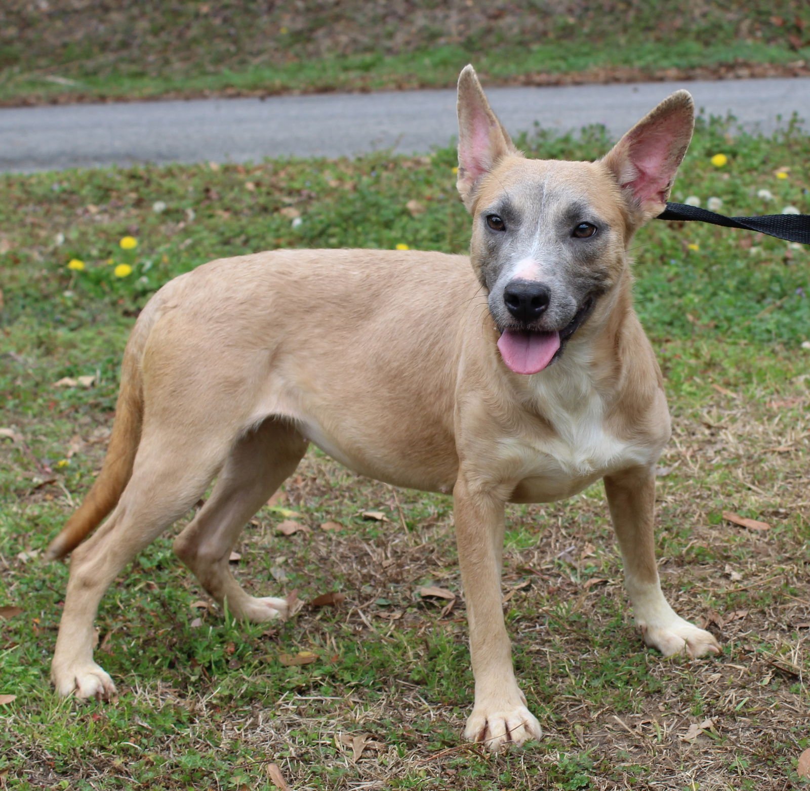 Anna 43081 - Photo 4