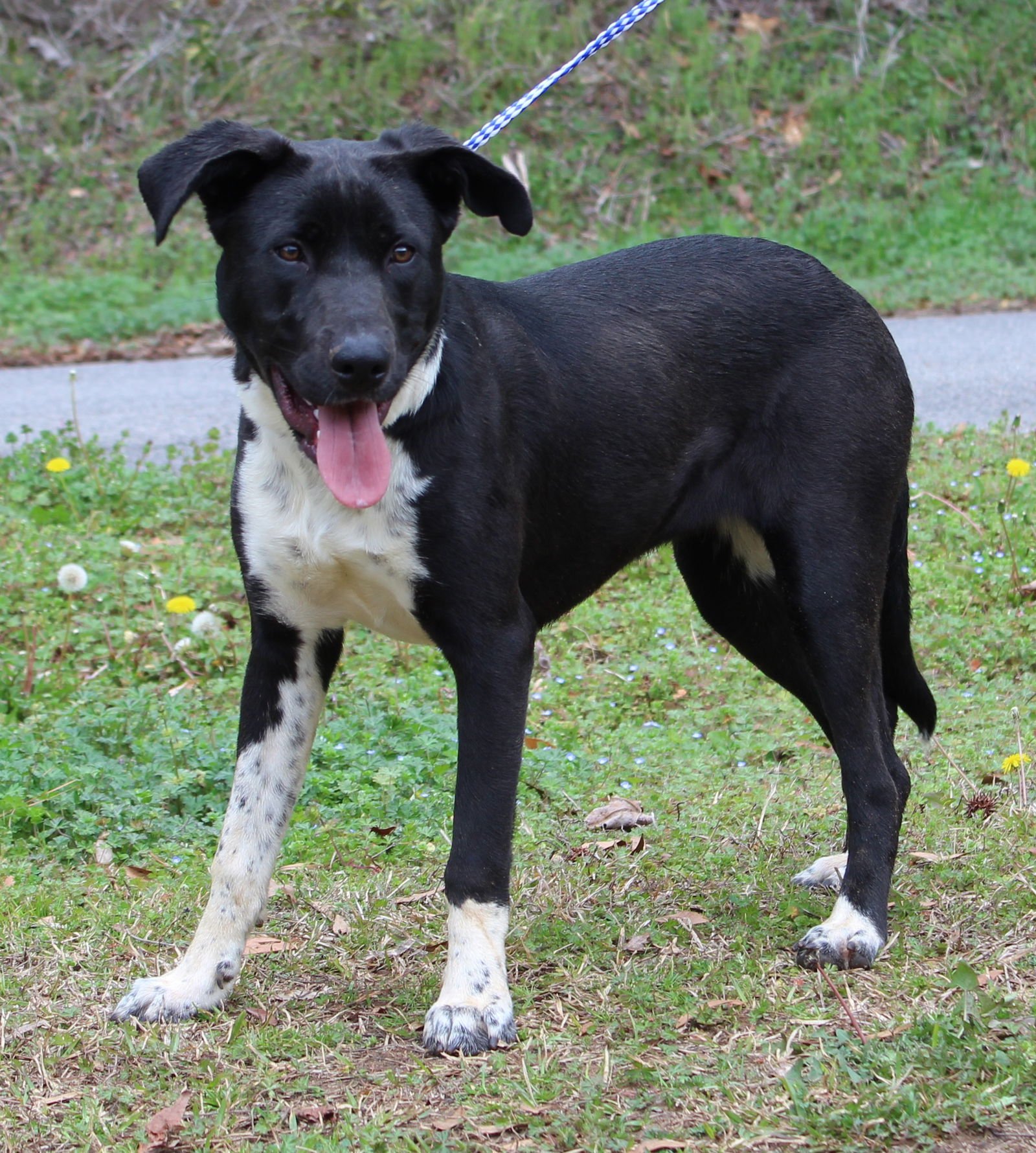 Orea 43163 - Photo 2