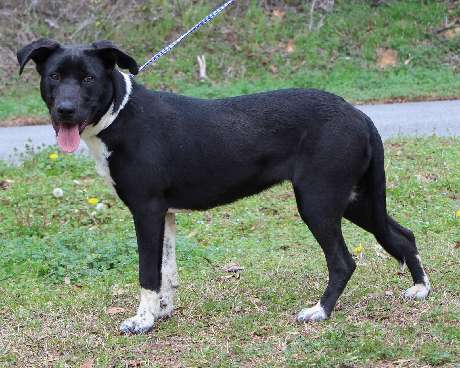 Orea 43163 - Photo 4