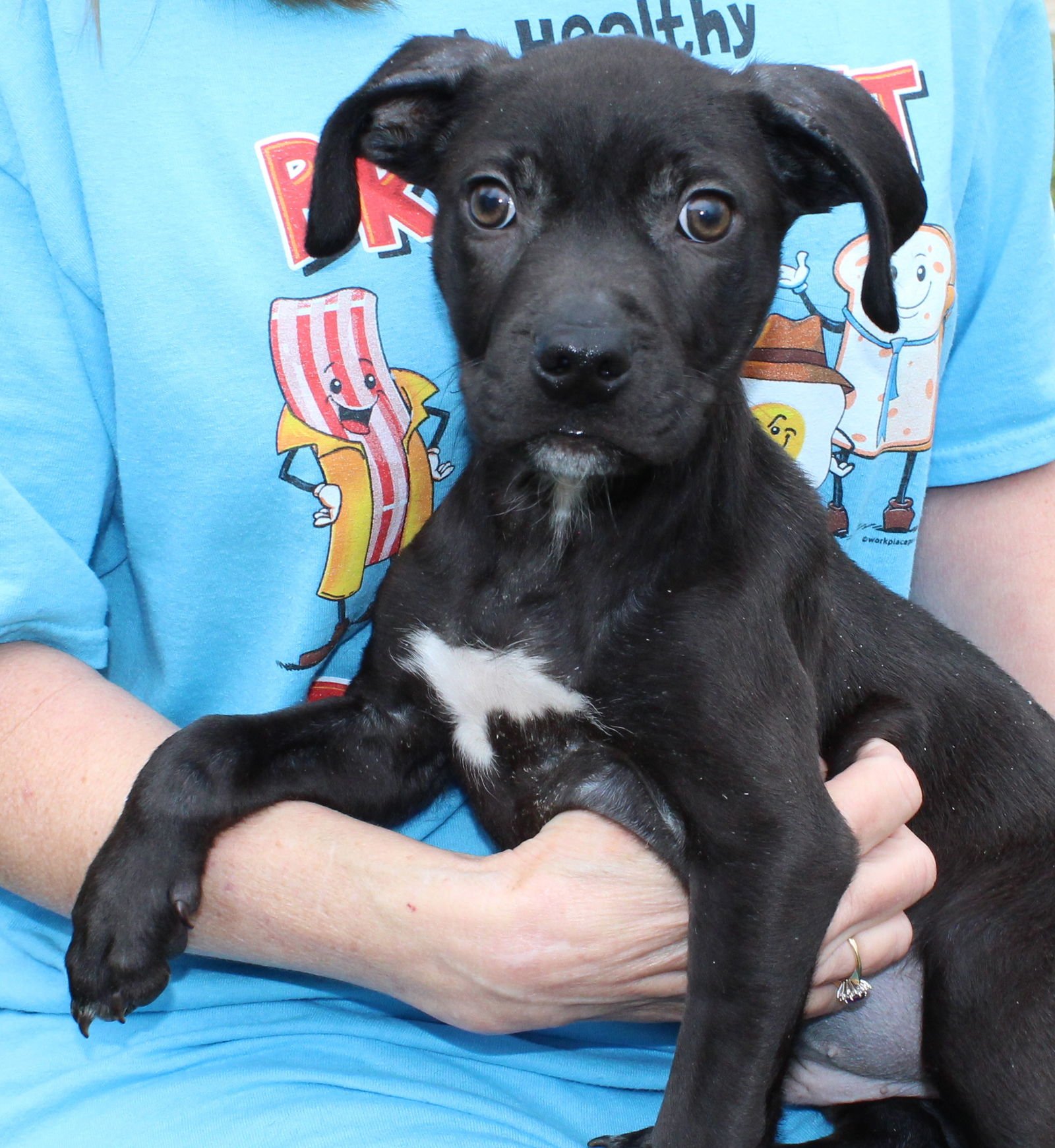 Miller 43157 - Photo 3