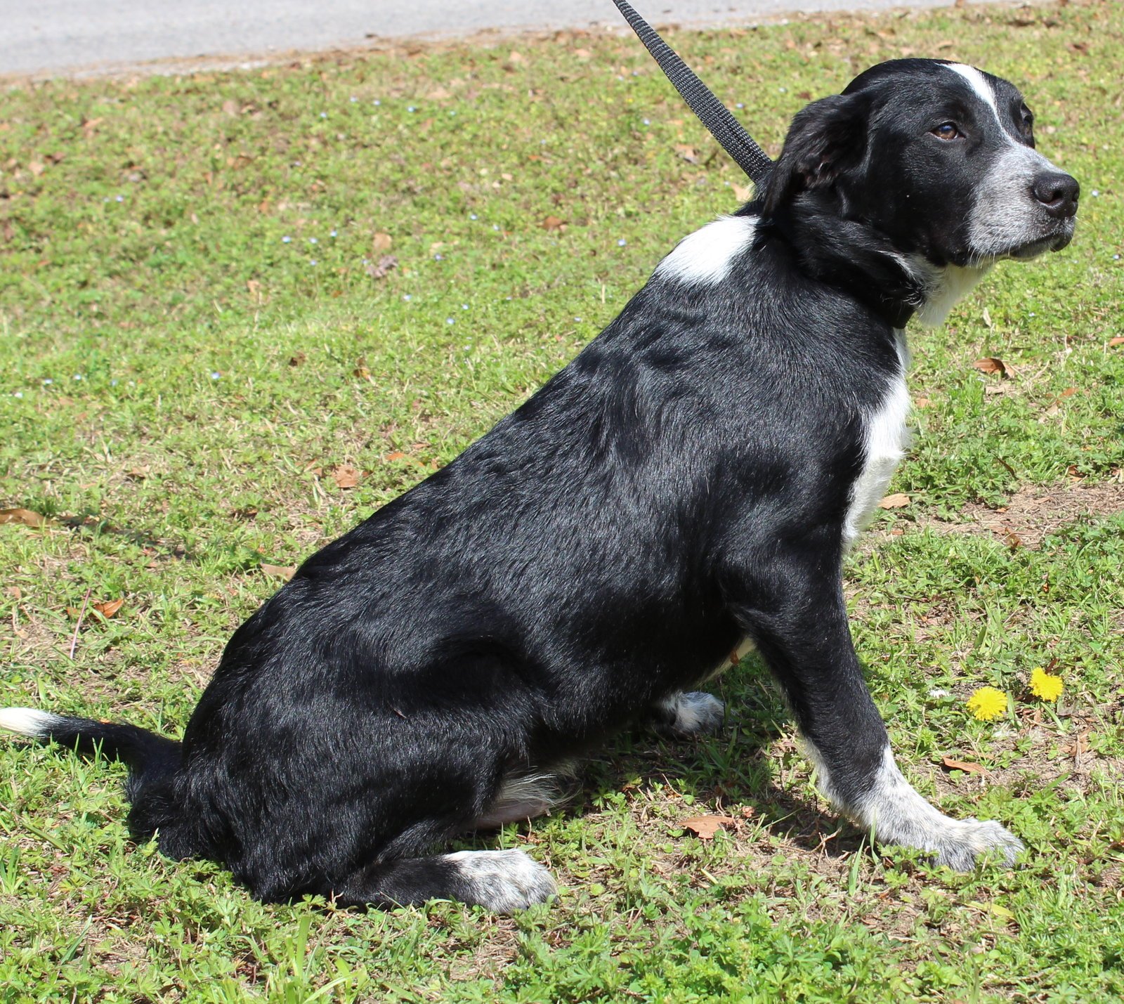 Fanta 43232 - Photo 3