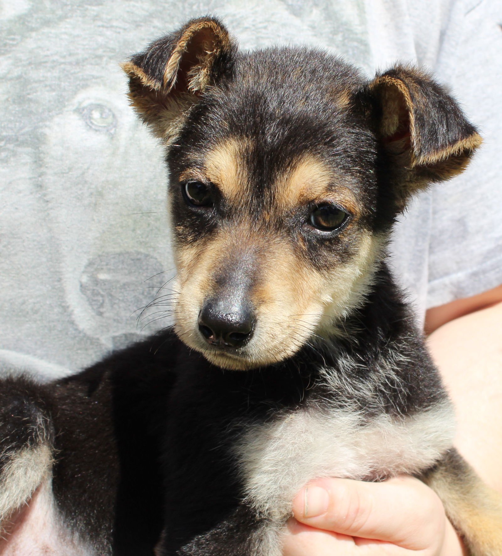 Ruby Red 43206 - Photo 3