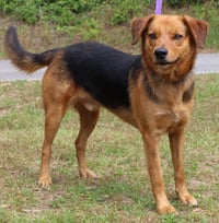 Grin 41719 - Photo 1