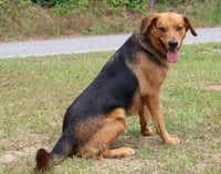 Grin 41719 - Photo 2
