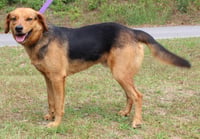 Grin 41719 - Photo 3