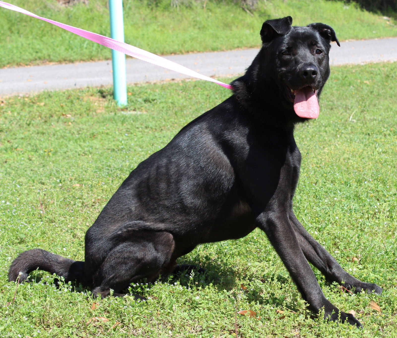 Kody 37124 - Photo 4