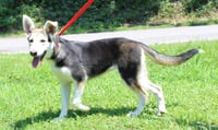 Lou 43436 - Photo 3
