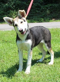 Lou 43436 - Photo 1