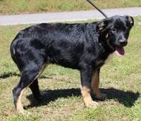 Marshall 43385 - Photo 3