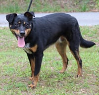 Mason 43542 - Photo 2