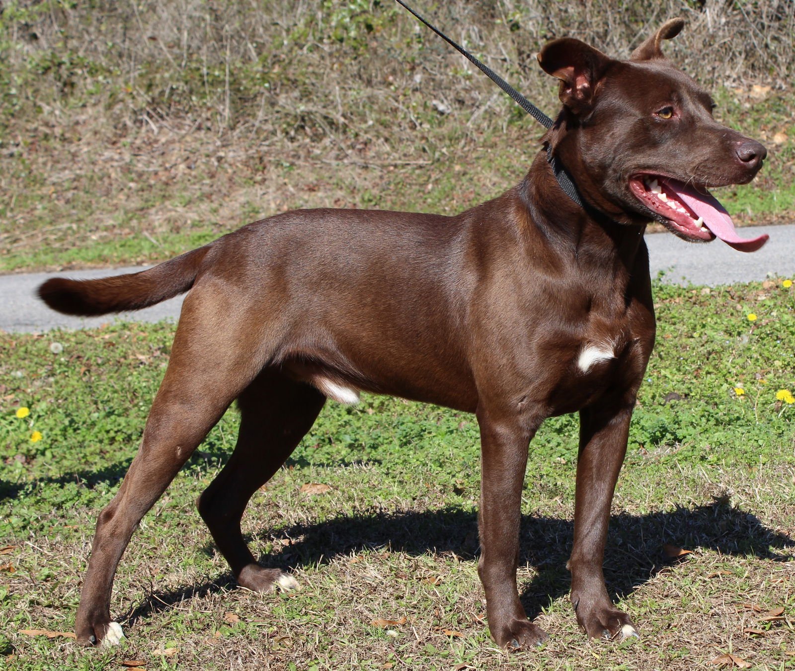 Rocky 43076 - Photo 3