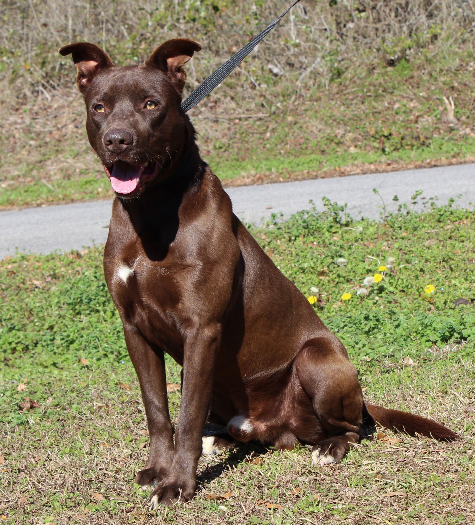 Rocky 43076 - Photo 4