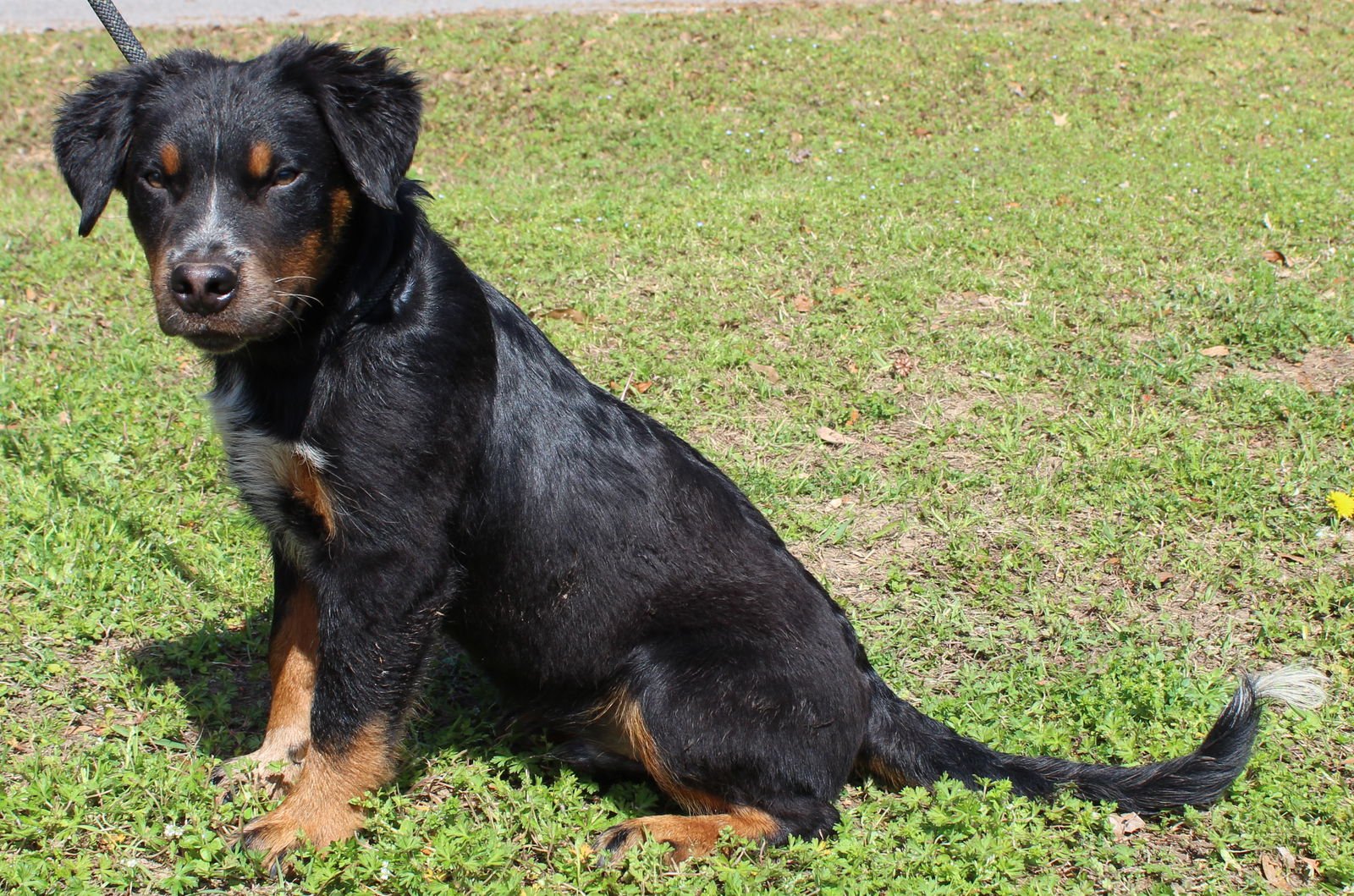 Dr. Pepper 43230 - Photo 3