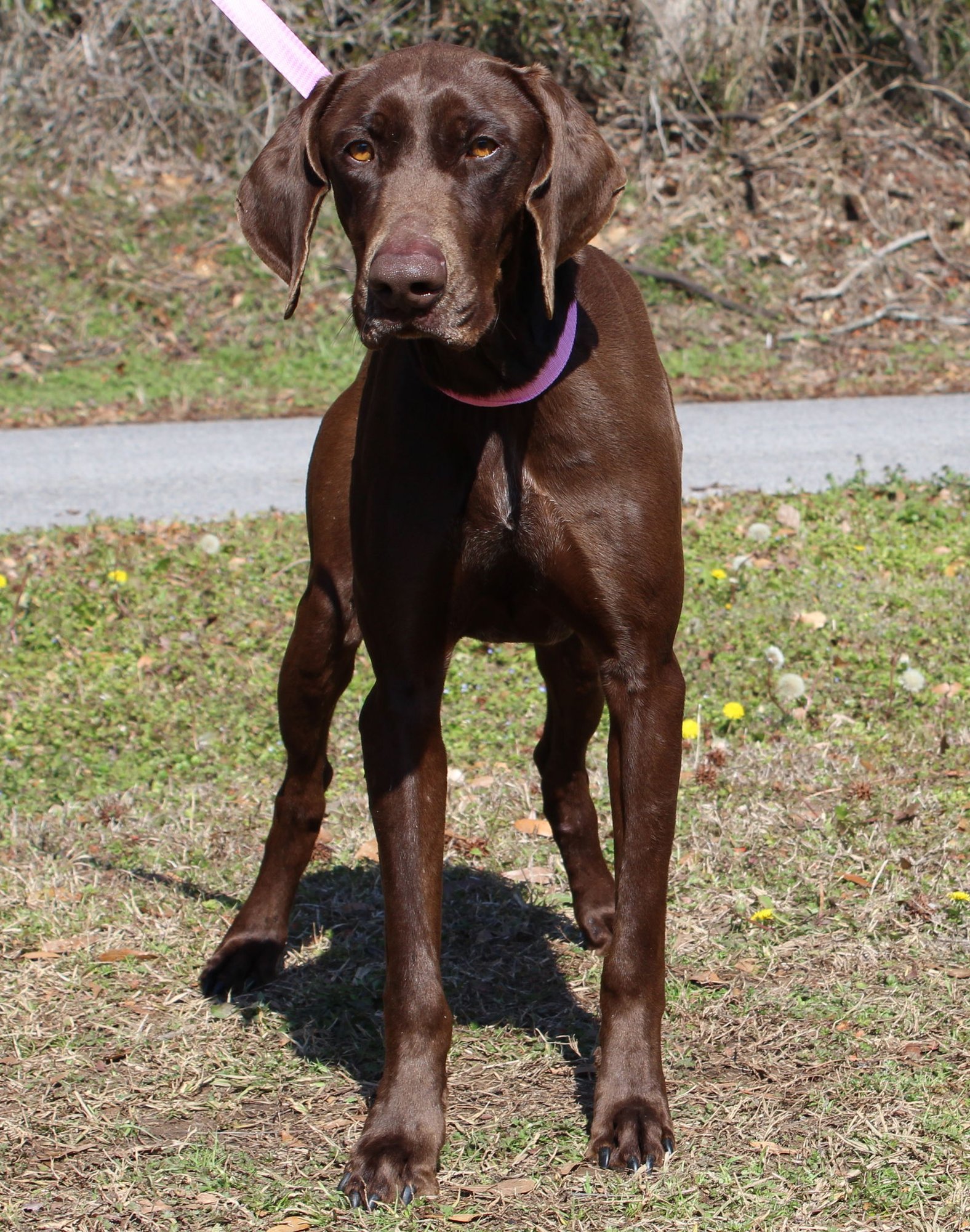 Walker 43133 - Photo 3