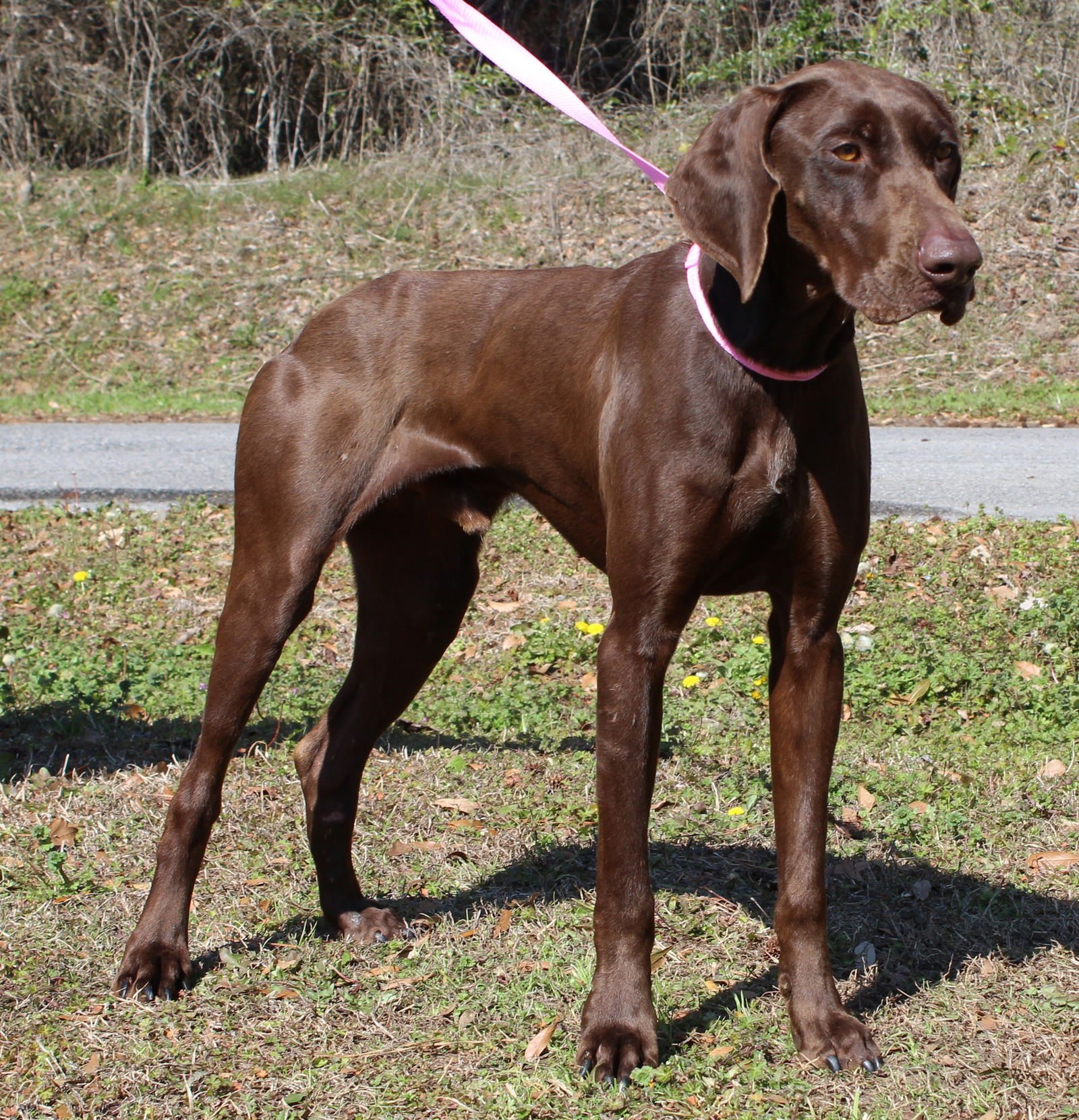 Walker 43133 - Photo 4