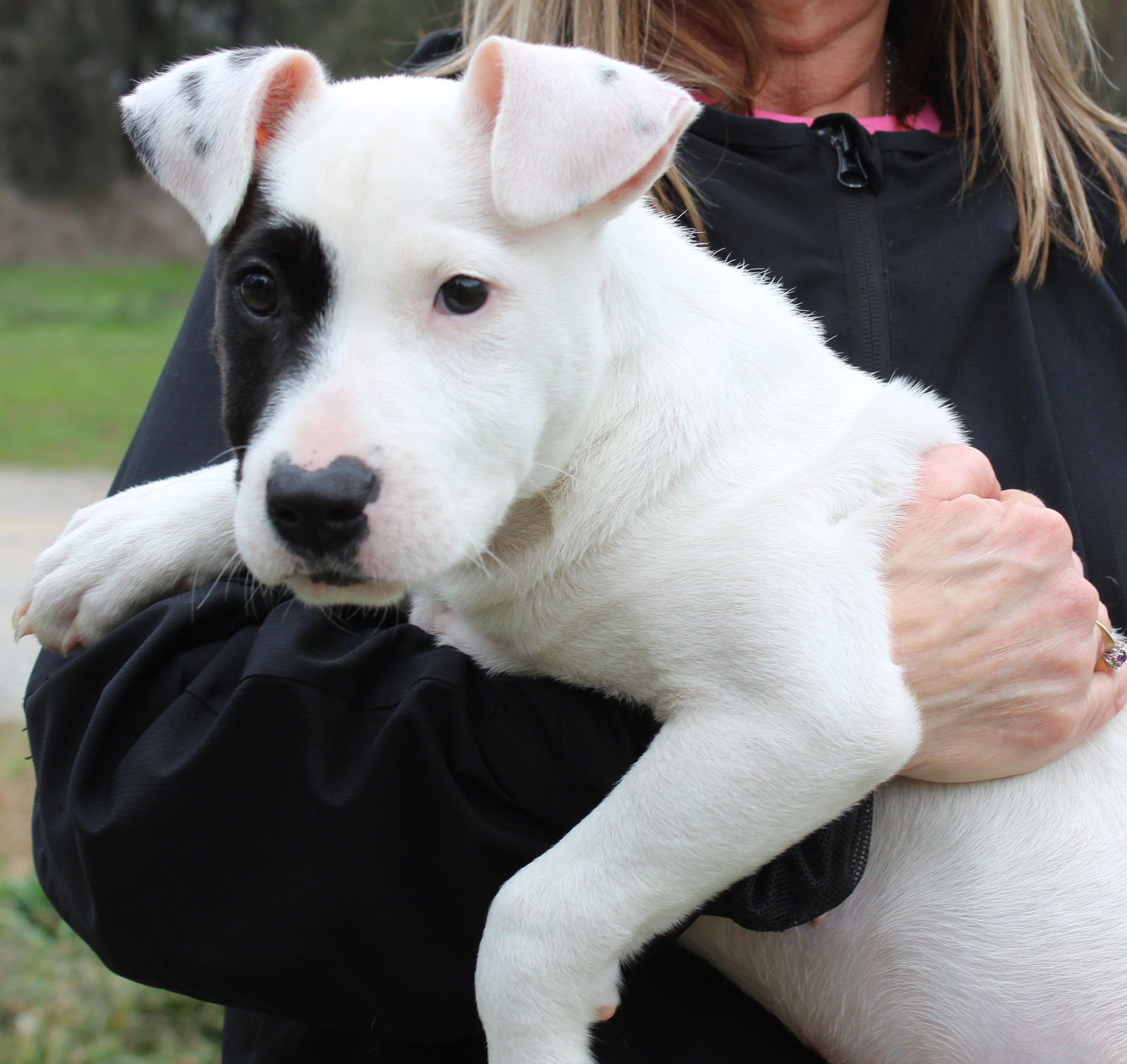 Trooper 42875 - Photo 3