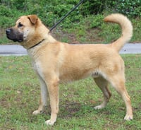 Bear 43420 - Photo 2