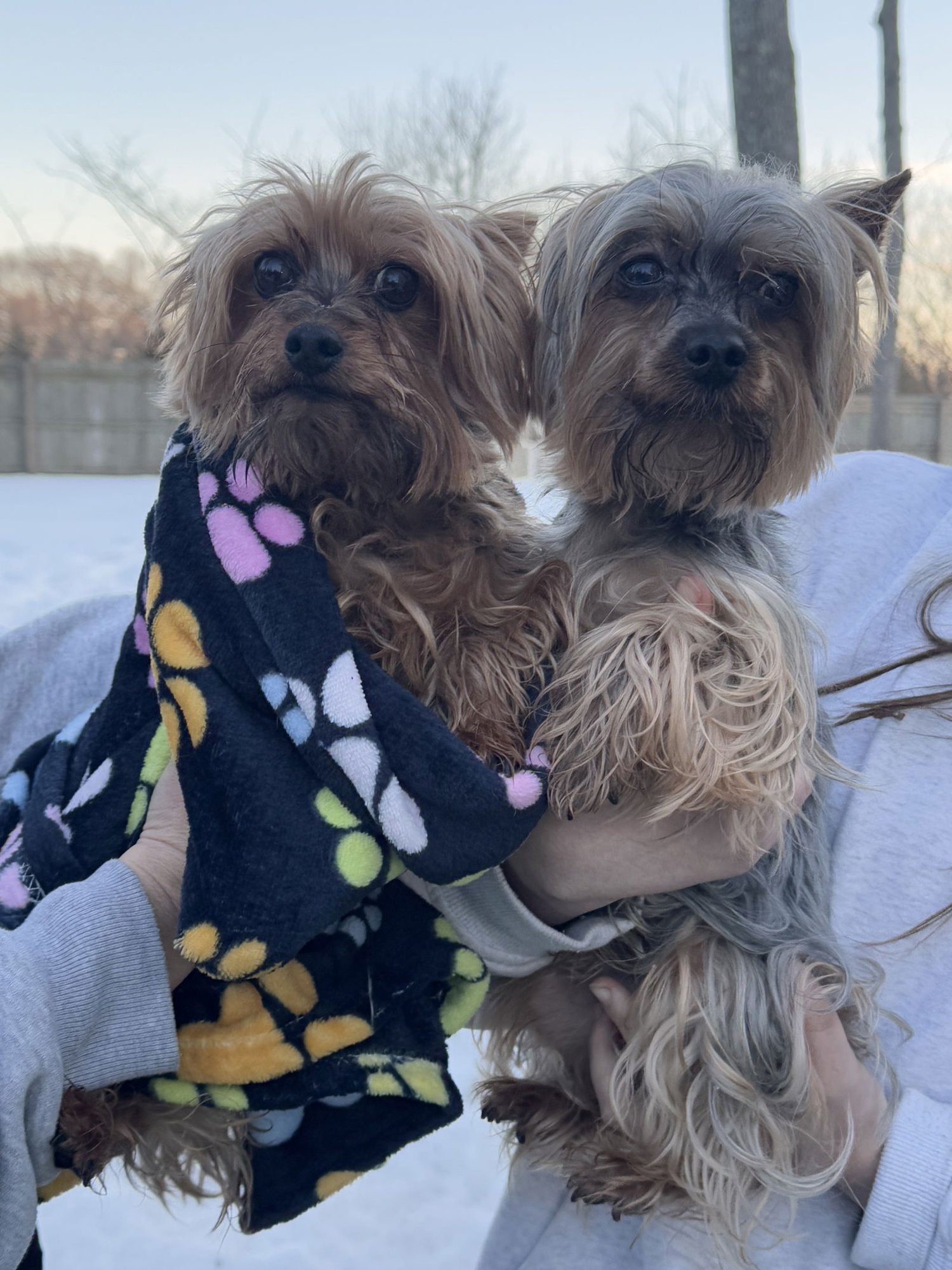 Zeke & Zulu - Photo 1